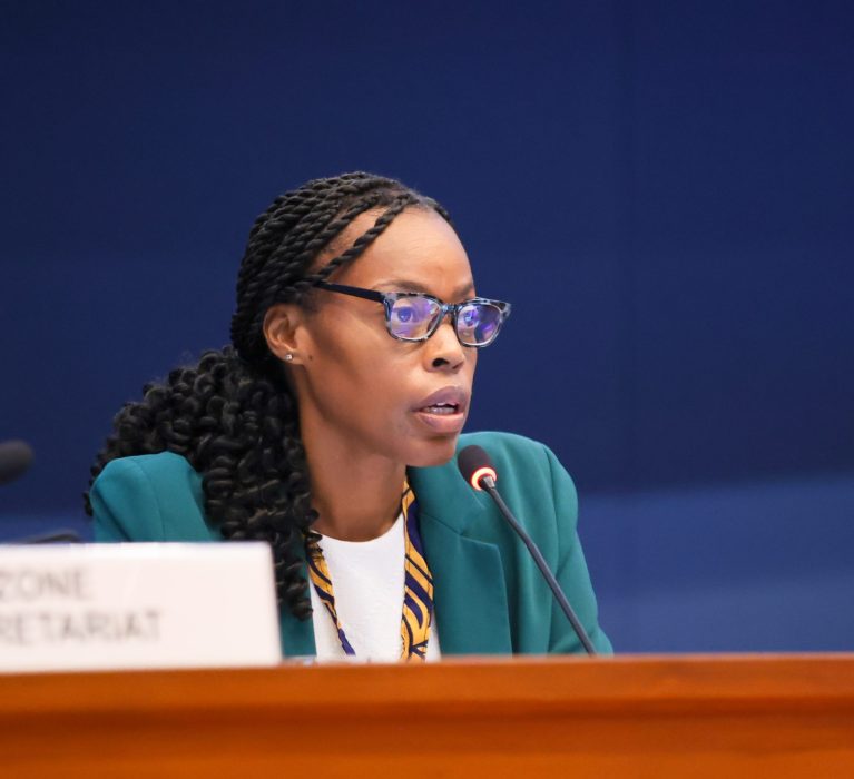 Barbados Co-Chairs Montreal Protocol OEWG47