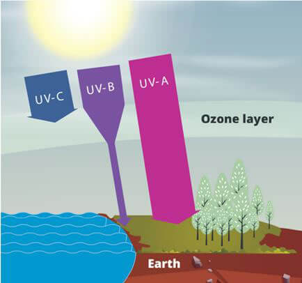 UV Protection by the Ozone Layer